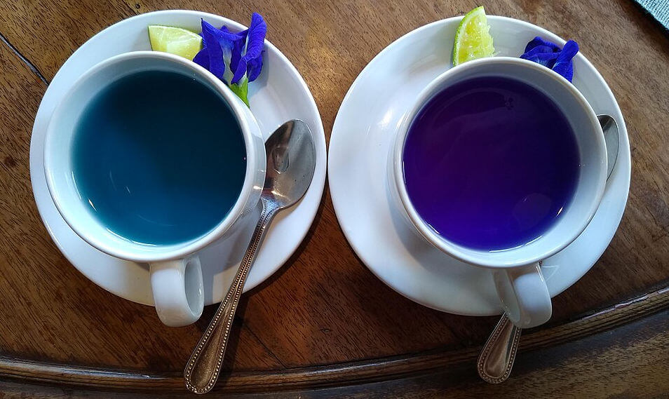 Das Farbspiel des Butterfly Pea Tea ist wirklich faszinierend