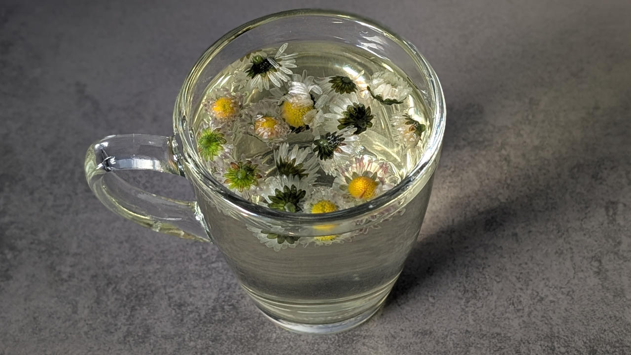 Die Zubereitung des eigenen Gänseblümchen Tees geht sehr einfach