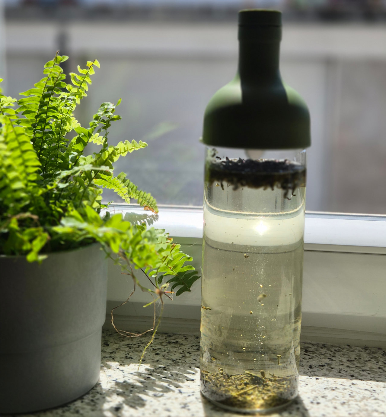 Von Sun Tea kann man hier noch nicht sprechen, zwar schien die Sonne zum Start der Zubereitung schon auf den Tee, wie man an der Farbe aber sehen kann, war es zu diesem Zeitpunkt noch mehr Wasser als Tee
