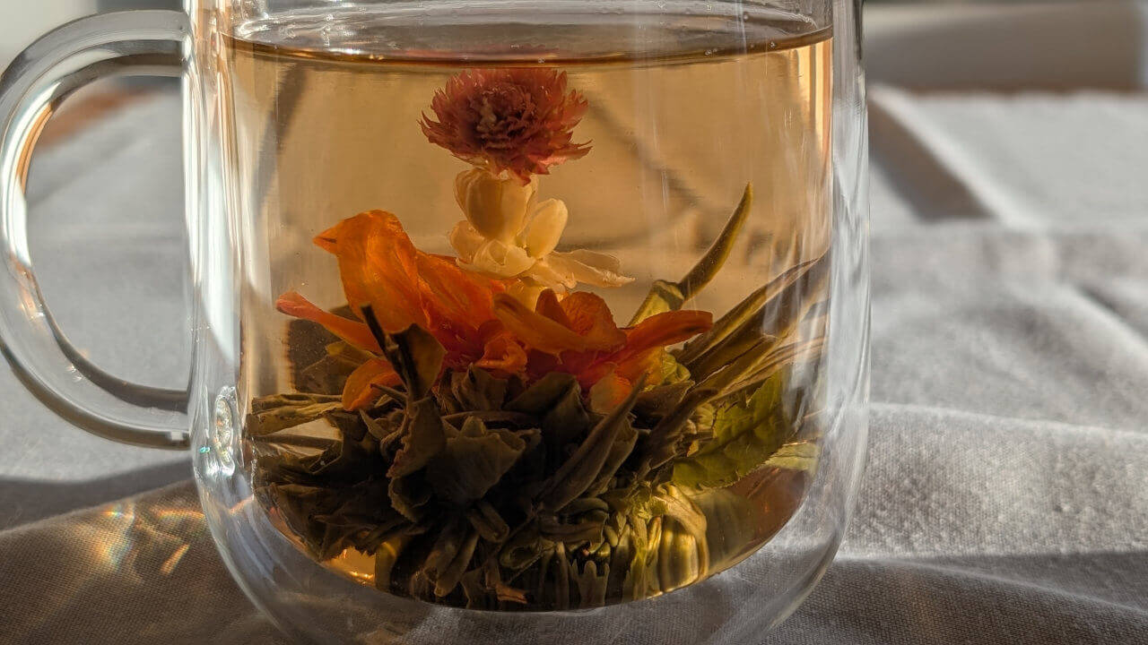 Eine Teeblume im Glas oder Kanne ist absolut faszinierend und holt den Frühling in die Weihnachtszeit